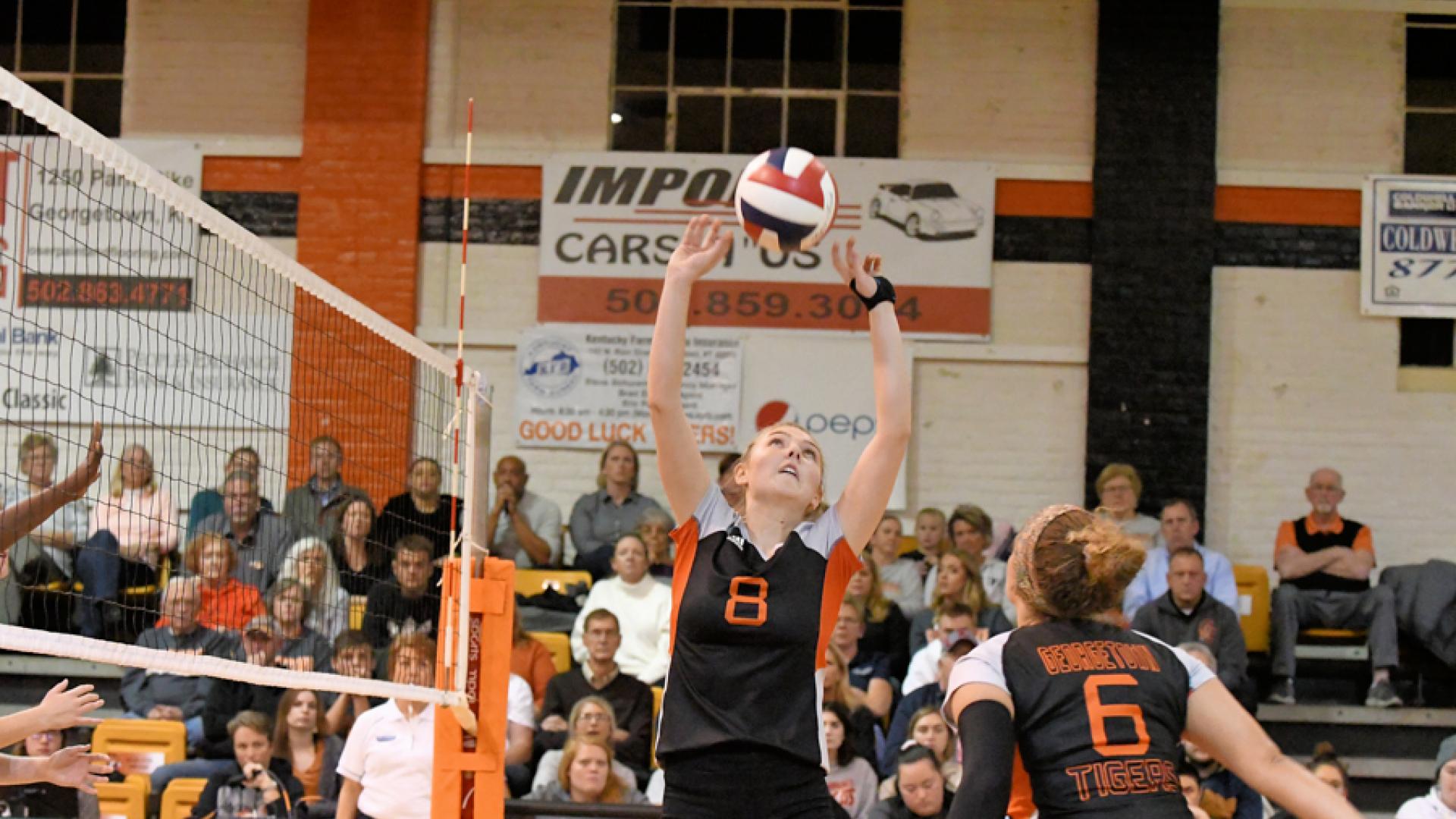 Volleyball Player Sets Ball